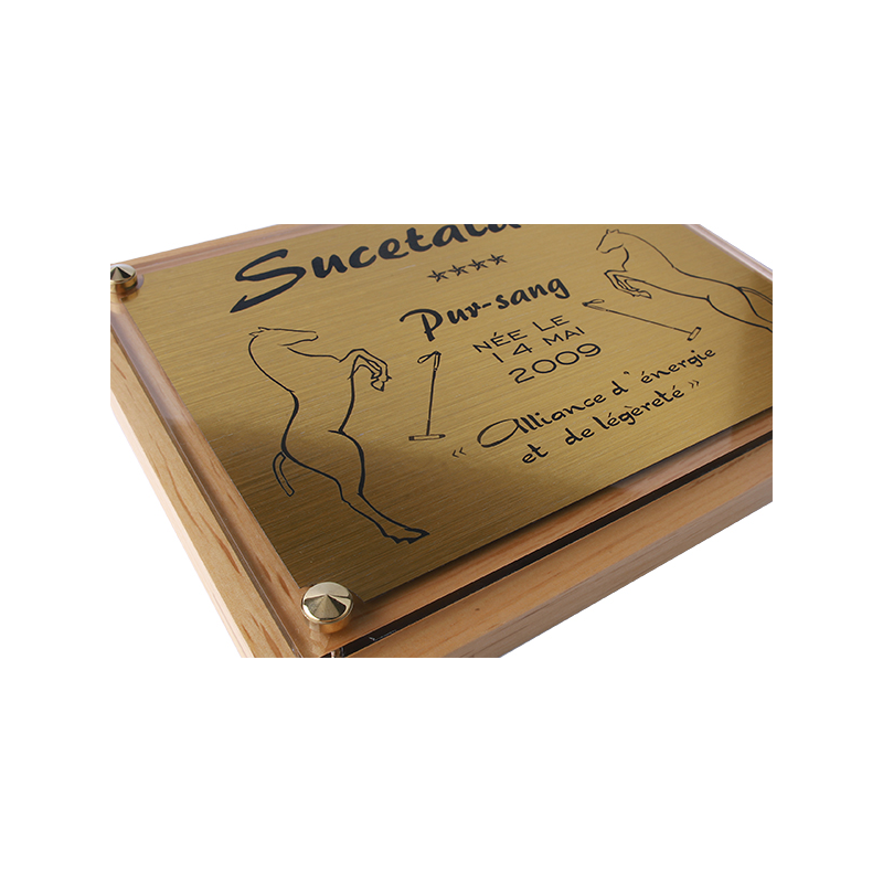 Plaque de box cheval Or - série P Plaque de box cheval Or - série P