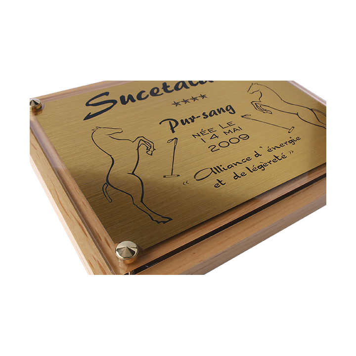 Plaque de box cheval Or - série P