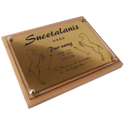 Plaque de box cheval Or - série P
