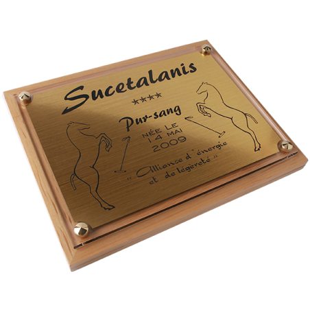 Plaque de box cheval Or - série P