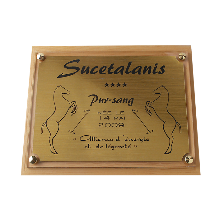 Plaque de box cheval Or - série P
