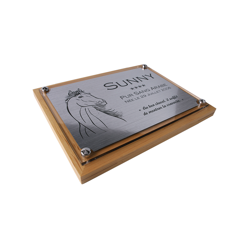 Plaque de box cheval personnalisée - P