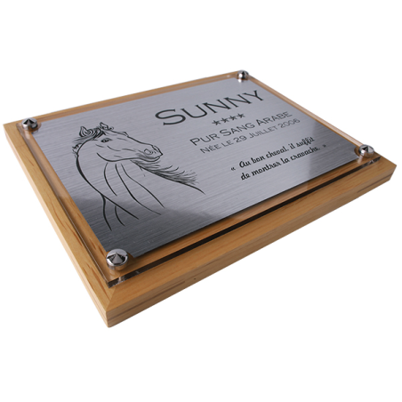Plaque de box cheval personnalisée - P