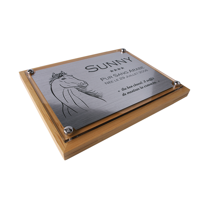 Plaque de box cheval personnalisée - P