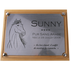 Plaque de box cheval personnalisée - P