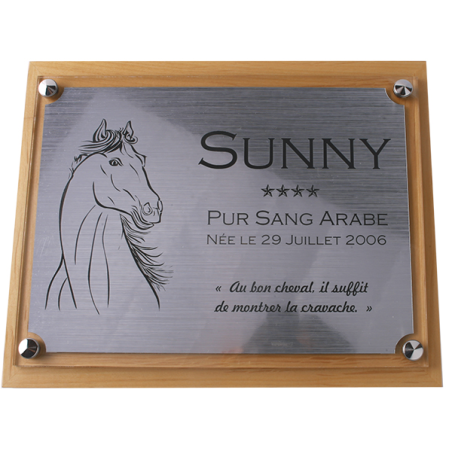 Plaque de box cheval personnalisée - P