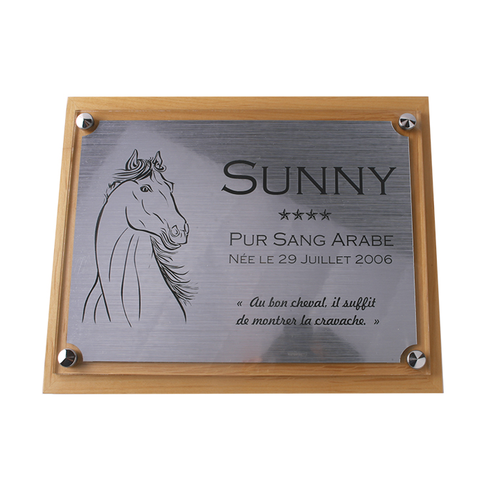 Plaque de box cheval personnalisée - P