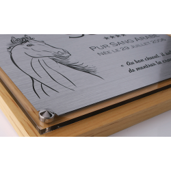 Plaque de box cheval personnalisée - P