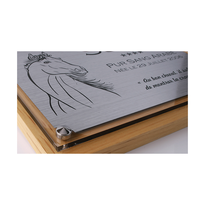 Plaque de box cheval personnalisée - P