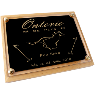 Plaque de box chevaux noir et Or - Série P