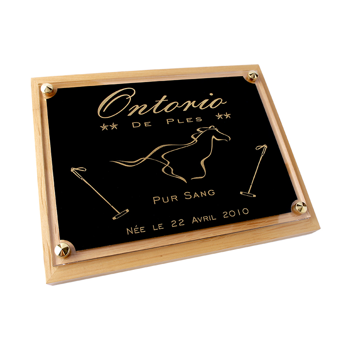 Plaque de box chevaux noir et Or - Série P
