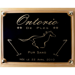 Plaque de box chevaux noir et Or - Série P