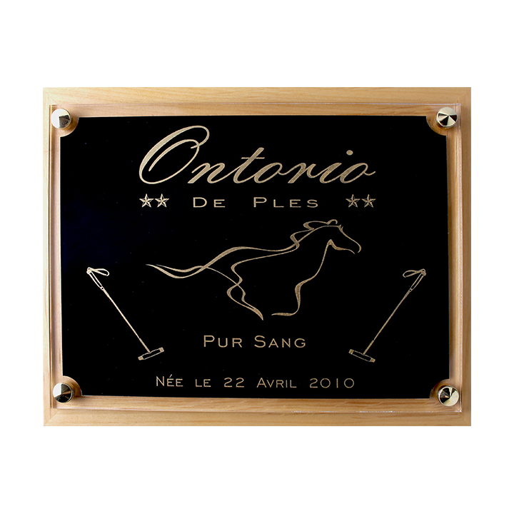 Plaque de box chevaux noir et Or - Série P