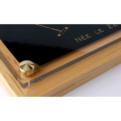 Plaque de box chevaux noir et Or - Série P