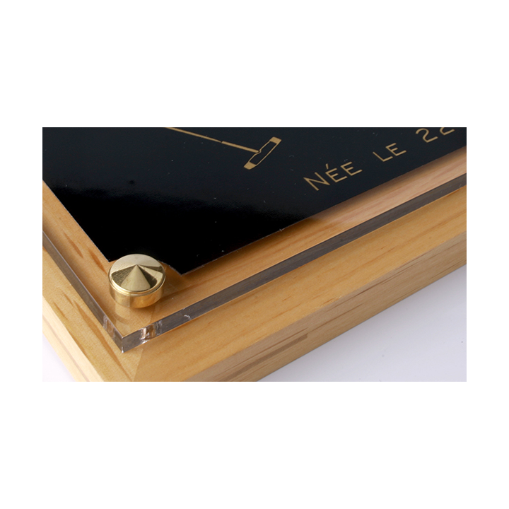 Plaque de box chevaux noir et Or - Série P