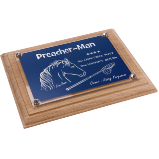 Plaque cheval bleue - série P