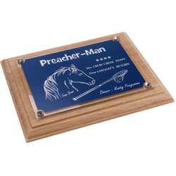 Plaque cheval bleue - série P