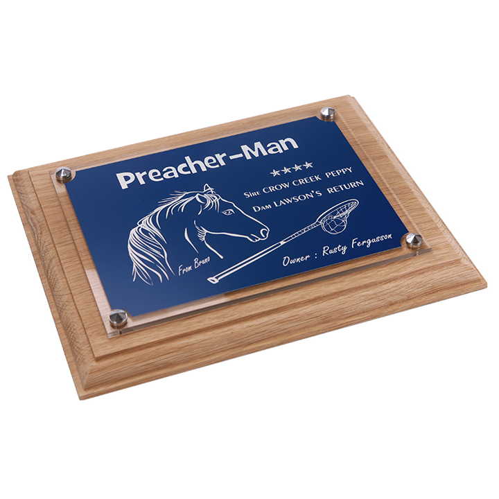 Plaque cheval bleue - série P