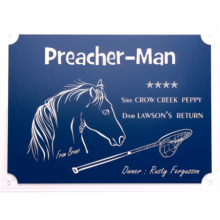 Plaque cheval bleue - série P