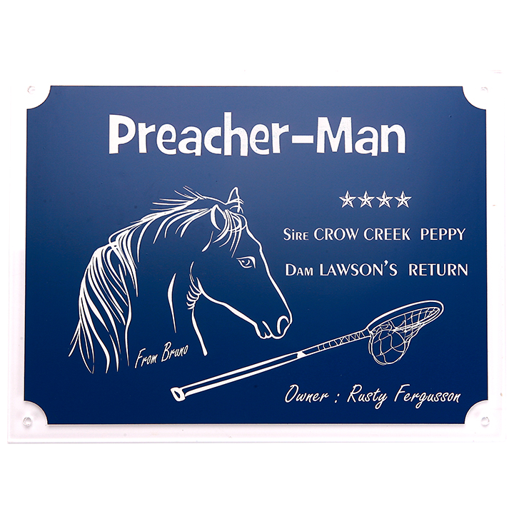 Plaque cheval bleue - série P