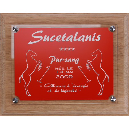 Plaque de box chevaux rouge - Série P