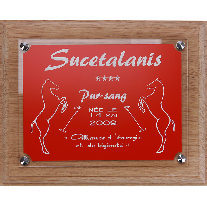 Plaque de box chevaux rouge - Série P