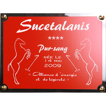 Plaque de box chevaux rouge - Série P