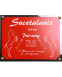 Plaque de box chevaux rouge - Série P