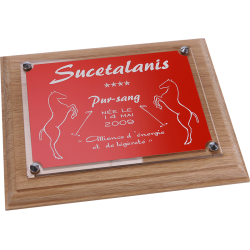 Plaque de box chevaux rouge - Série P