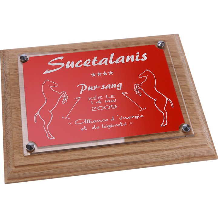 Plaque de box chevaux rouge - Série P