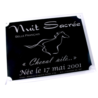 Plaque de box personnalisable noir/argent - série P