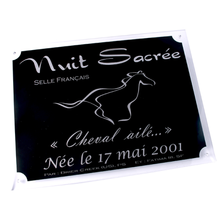 Plaque de box personnalisable noir/argent - série P