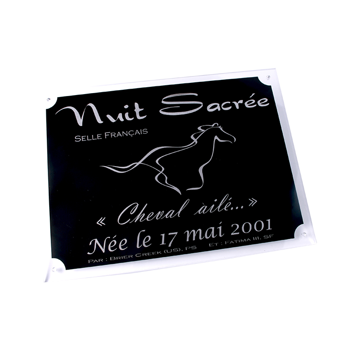 Plaque de box personnalisable noir/argent - série P