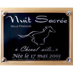 Plaque de box personnalisable noir/argent - série P