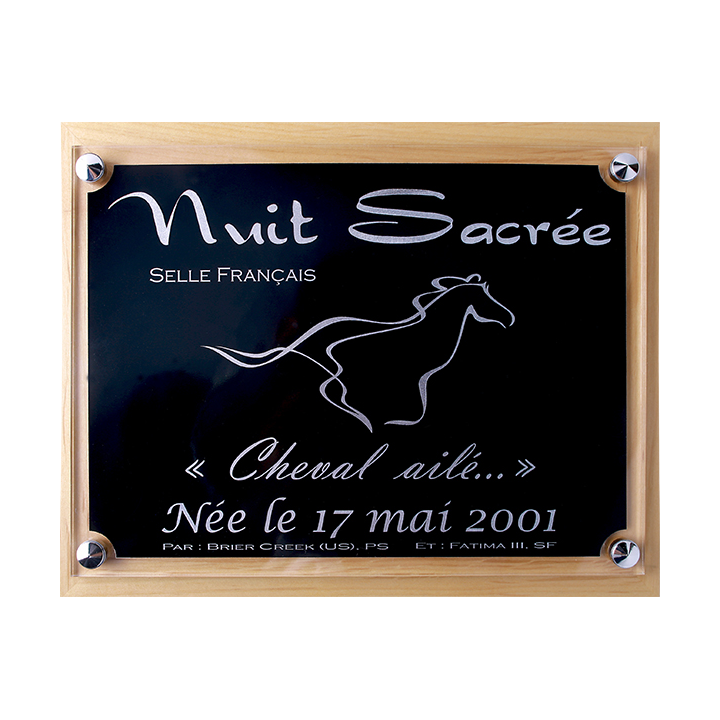 Plaque de box personnalisable noir/argent - série P