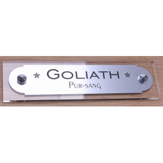 Plaque de box cheval alu - P