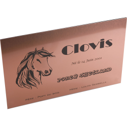 Plaque de box cuivre brossé - série A