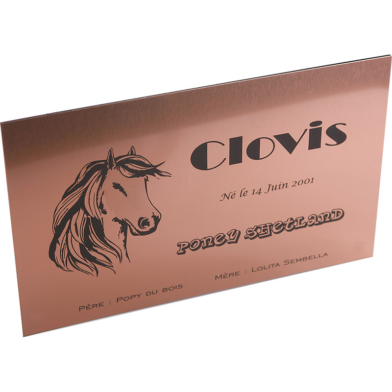 Plaque de box cuivre brossé - série A