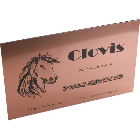 Plaque de box cuivre brossé - série A