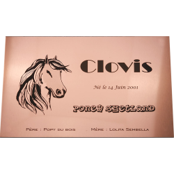 Plaque de box cuivre brossé - série A