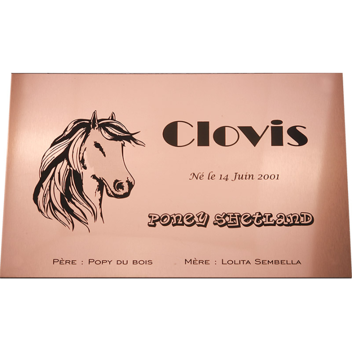 Plaque de box cuivre brossé - série A