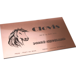 Plaque de box cuivre brossé - série A