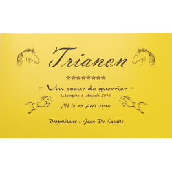 Plaque de box jaune - série A