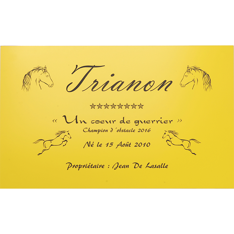 Plaque de box jaune - série A