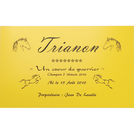 Plaque de box jaune - série A