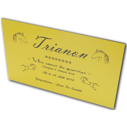 Plaque de box jaune - série A