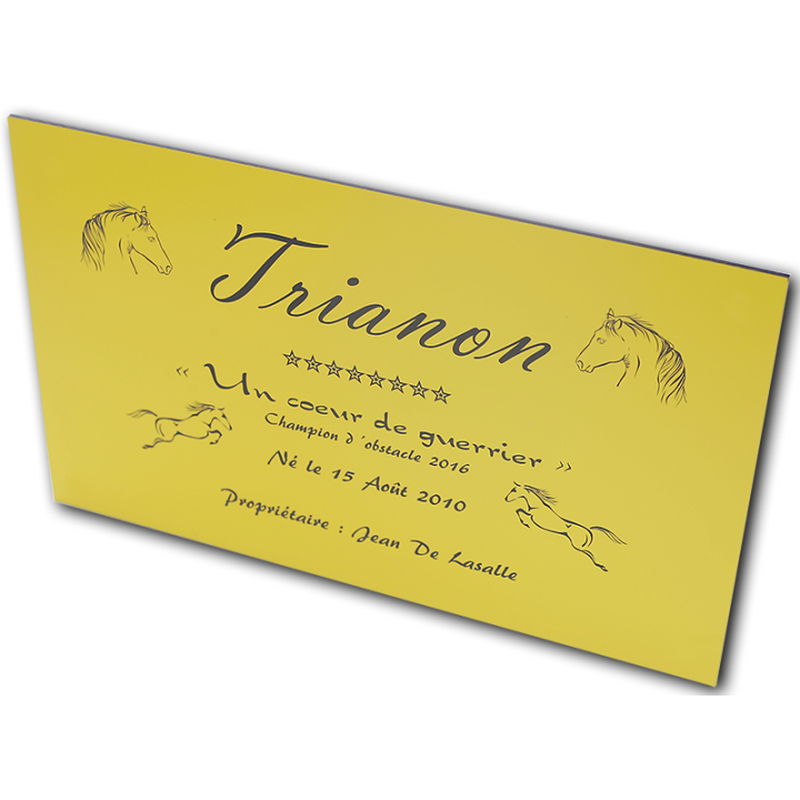 Plaque de box jaune - série A