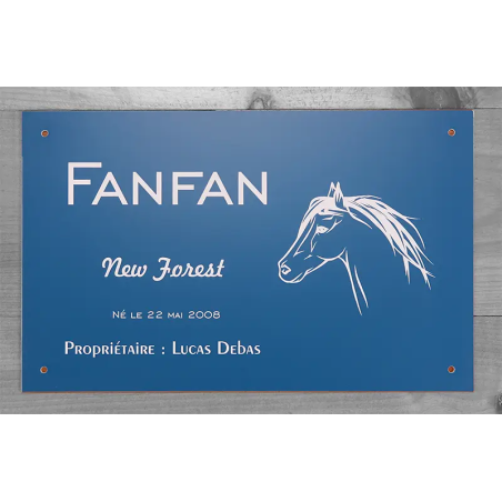 Plaque de box personnalisé bleu - série A