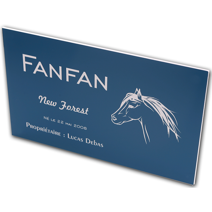 Plaque de box personnalisé bleu - série A