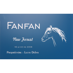 Plaque de box personnalisé bleu - série A